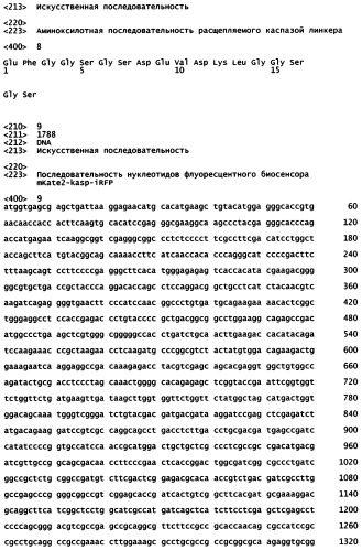 Нуклеиновая кислота, кодирующая основанный на fret дальне-красный биосенсор для измерения активности каспазы 3 внутри клеток (патент 2535981)