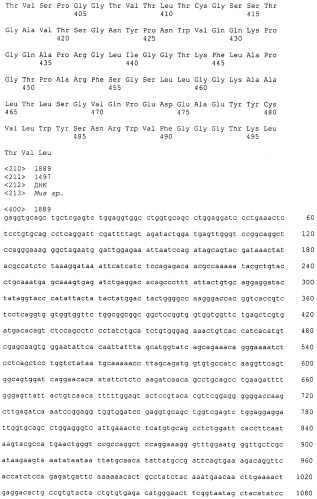 Pscaxcd3, cd19xcd3, c-metxcd3, эндосиалинxcd3, epcamxcd3, igf-1rxcd3 или fap-альфаxcd3 биспецифическое одноцепочечное антитело с межвидовой специфичностью (патент 2547600)