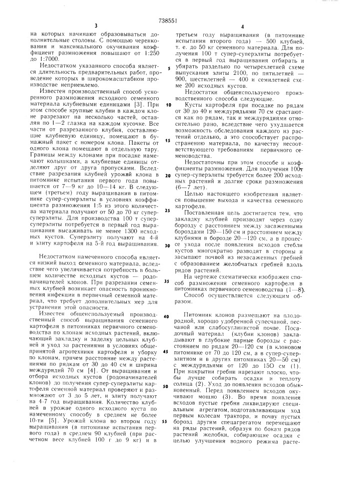 Способ выращивания семенного картофеля в питомниках семеноводства (патент 738551)