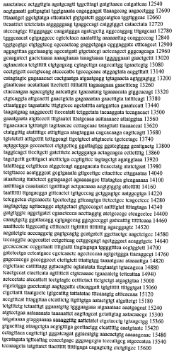 Модуляция экспрессии гентингтина (патент 2562861)