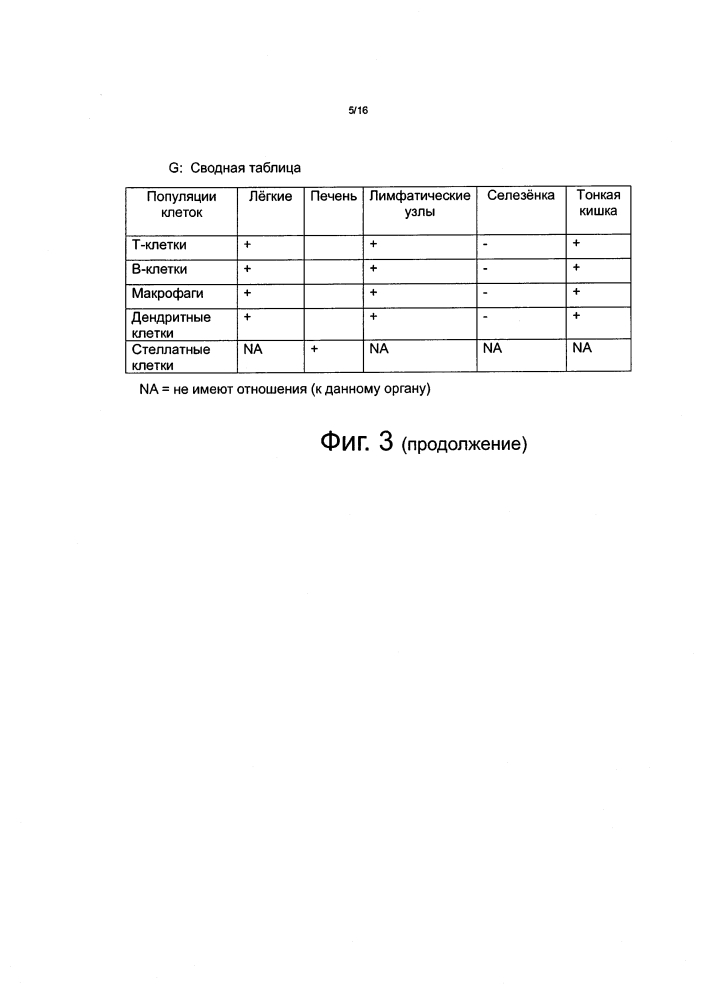 Антитела, которые связывают интегрин альфа-v бета-8 (патент 2614252)