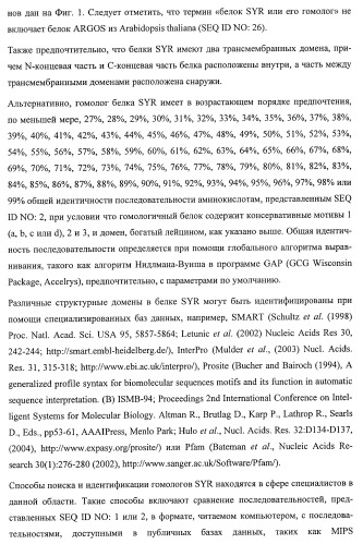 Растения, имеющие улучшенные характеристики роста, и способы их получения (патент 2463352)