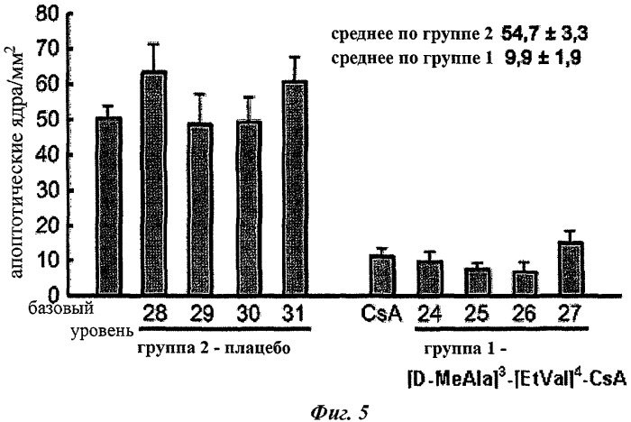 Неиммуносупрессорный циклоспорин для лечения врожденной миопатии ульриха (патент 2462262)