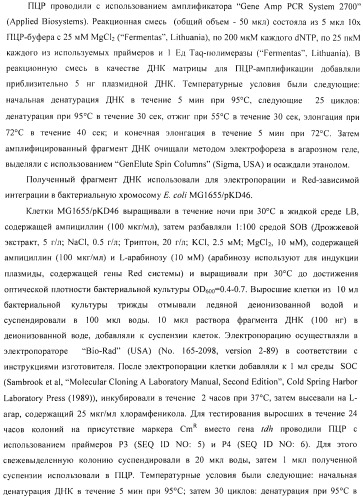 Способ получения l-аминокислоты с использованием бактерии, принадлежащей к роду escherichia (патент 2395579)