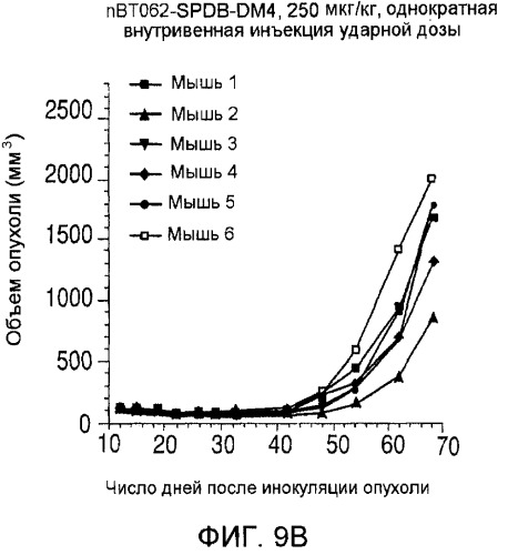 Агенты против клетки-мишени, нацеленные на cd138, и их применение (патент 2537265)