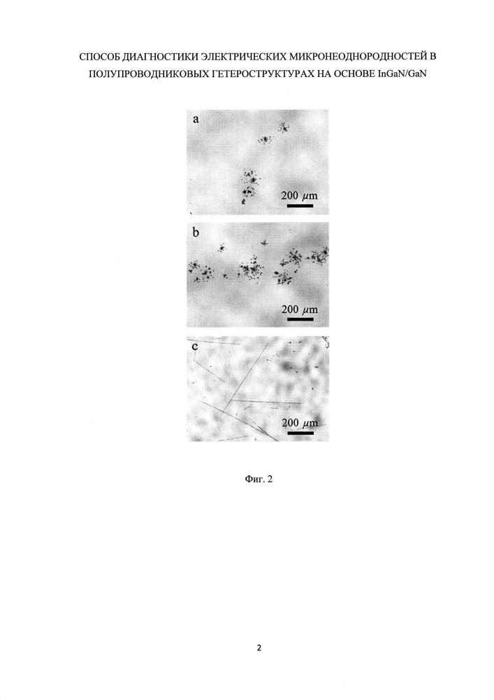 Способ диагностики электрических микронеоднородностей в полупроводниковых гетероструктурах на основе ingan/gan (патент 2606200)