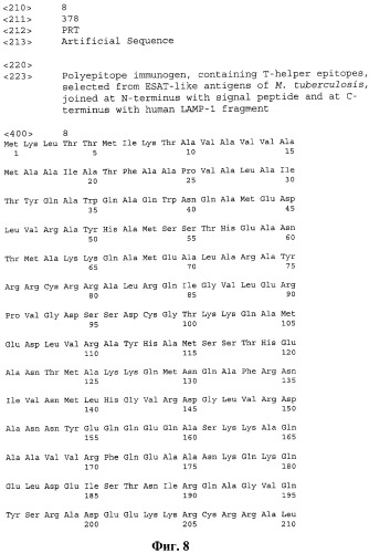 Профилактическая или терапевтическая полиэпитопная противотуберкулезная вакцинная конструкция, обеспечивающая индукцию клеточного иммунного ответа cd4+ или cd8+ т-лимфоцитов (патент 2539035)