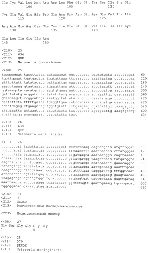Гибридная и тандемная экспрессия белков нейссерий (патент 2475495)