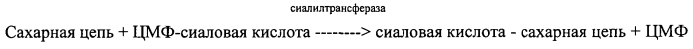 Способ получения гликопептида, имеющего сиалированную сахарную цепь, и способ получения производного сиалилгликоаспарагина (патент 2586524)