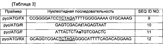 Способ получения l-лизина с использованием микроорганизмов, обладающих способностью продуцировать l-лизин (патент 2588665)
