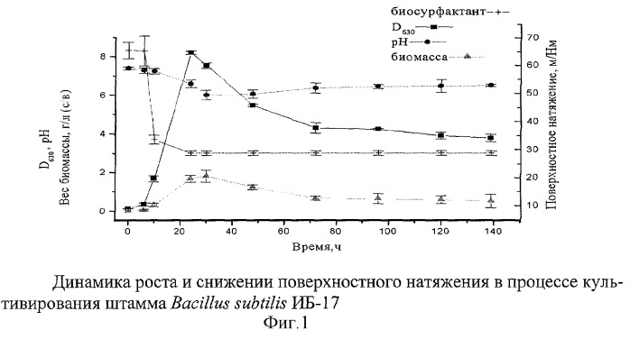 Штамм бактерий b. subtilis - продуцент сурфактина (патент 2270858)