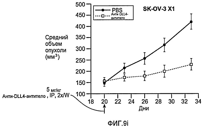 Антитела против dll4 и способы их применения (патент 2415869)