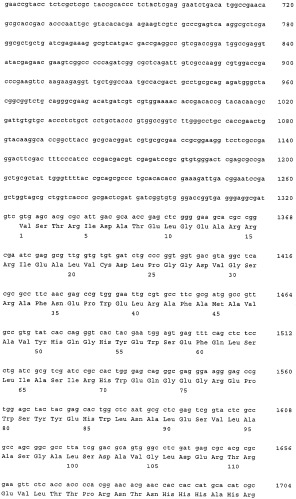 Нитрилгидратаза из rhodococcus (патент 2385932)