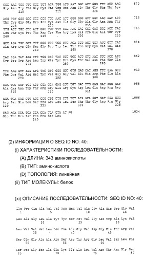 Очищенные белки оболочки вируса гепатита с для диагностического и терапевтического применения (патент 2313363)