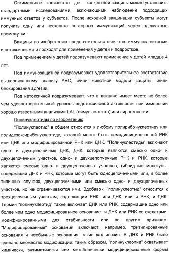 Нейссериальные вакцинные композиции, содержащие комбинацию антигенов (патент 2317106)