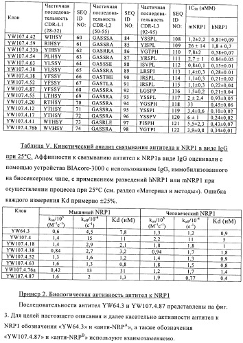 Антагонисты нейропилина (патент 2425842)