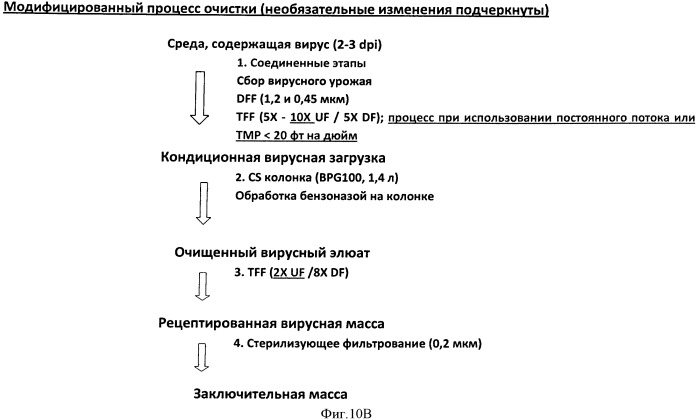 Способы культивирования клеток, размножения и очистки вирусов (патент 2547587)