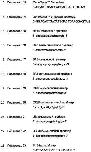 Новые последовательности нуклеиновых кислот и их применение в способах достижения устойчивости к патогенам в растениях (патент 2346985)