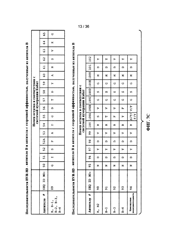 Антитела к jagged и способы их применения (патент 2666990)