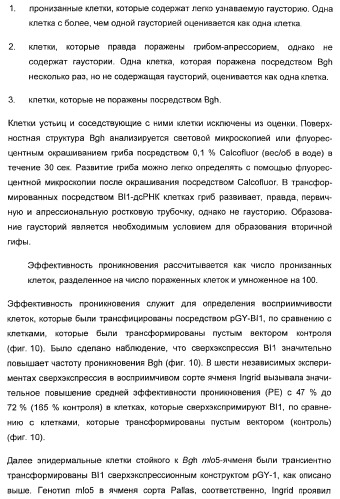 Способ повышения стойкости к стрессовым факторам в растениях (патент 2375452)