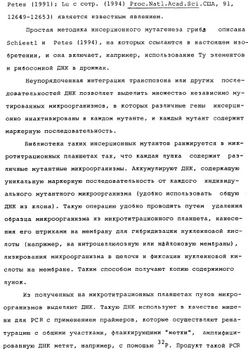 Vgc2 днк salmonella typhimurium, мутантная бактерия, обладающая пониженной способностью к адаптации к условиям окружающей среды, и способ ее получения (патент 2370541)