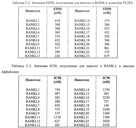 Аминокислотные последовательности, направленные на rank-l, и полипептиды, включающие их, для лечения заболеваний и нарушений костей (патент 2481355)