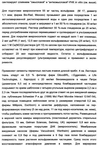 Новые последовательности нуклеиновых кислот и их применение в способах достижения устойчивости к патогенам в растениях (патент 2346985)