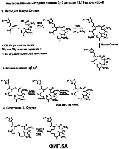 Синтез эпотилонов, их промежуточных продуктов, аналогов и их применения (патент 2462463)