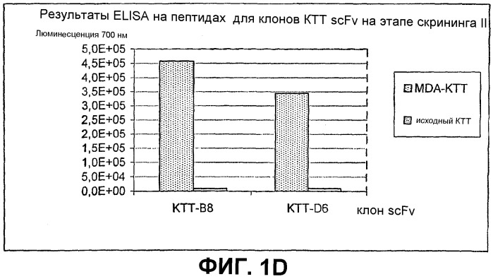 Пассивная иммунизационная терапия на основе пептидов для лечения атеросклероза (патент 2322260)