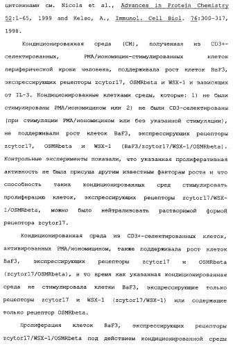 Новый лиганд рецептора цитокина zcytor17 (патент 2360923)