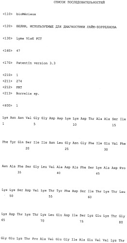 Химерный белок, используемый для диагностики лайм-боррелиоза. (патент 2546246)