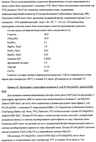 Способ получения l-треонина с использованием бактерии, принадлежащей к роду escherichia, в которой инактивирован кластер генов sfmacdfh-fimz или ген fimz (патент 2333953)