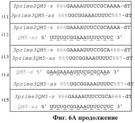 Новые структуры малых интерферирующих рнк (sirna) (патент 2487716)