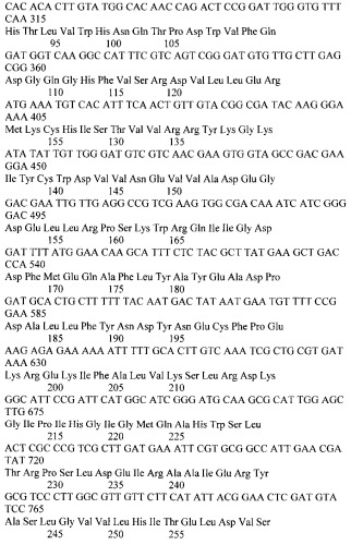 Штамм бактерии esherichia coli ex pqe30, продуцент эндоксиланазы бактерии geobacillus stearothermophillus 22 (патент 2542486)