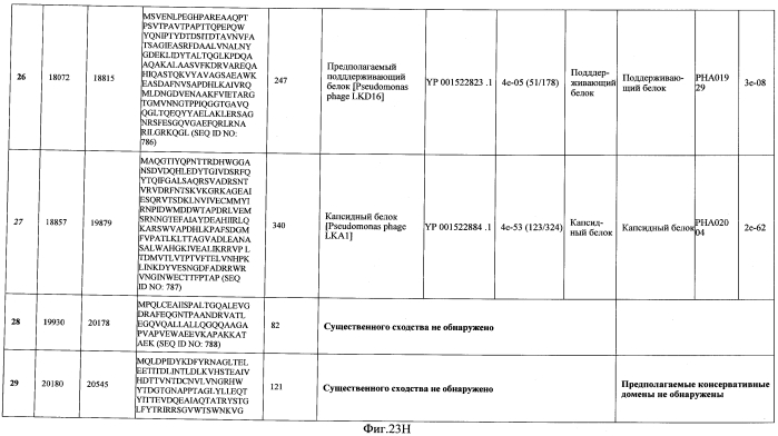 Бактериофаг, обладающий активностью против pseudomonas aeruginosa, белки бактериофага и способы их применения (патент 2580248)