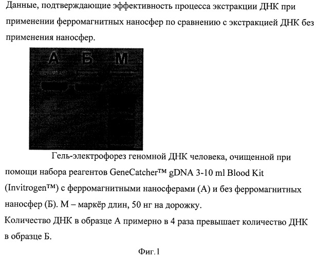 Способ экстракции днк из клеток крови (патент 2555551)