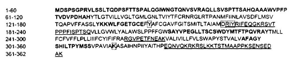 Светочувствительный химерный белок gpcr (патент 2637367)