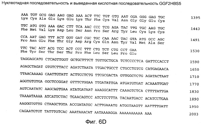 Способы выявления сердечных нарушений (патент 2498309)