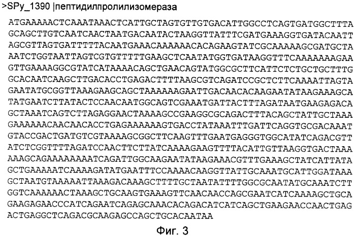 Многокомпонентная иммуногенная композиция для предупреждения заболевания, вызванного  -гемолитическими стрептококками (бгс) (патент 2478396)