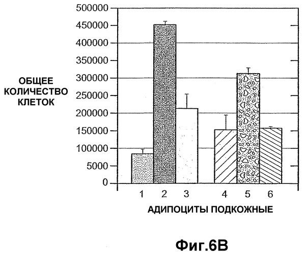 Способ ингибирования пролиферации гепатоцитов, способ ингибирования клеточной адгезии гепатоцитов и способ ингибирования биологической активности angptl4 в гепатоцитах или предшественниках гепатоцитов (патент 2380411)