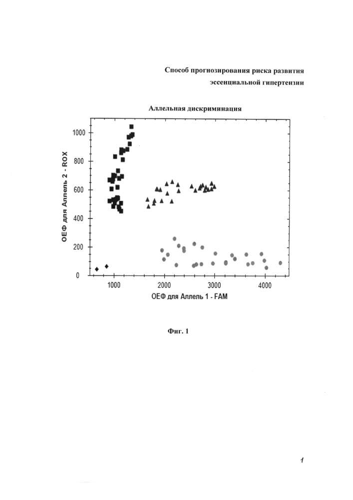 Способ прогнозирования риска развития эссенциальной гипертензии (патент 2661604)