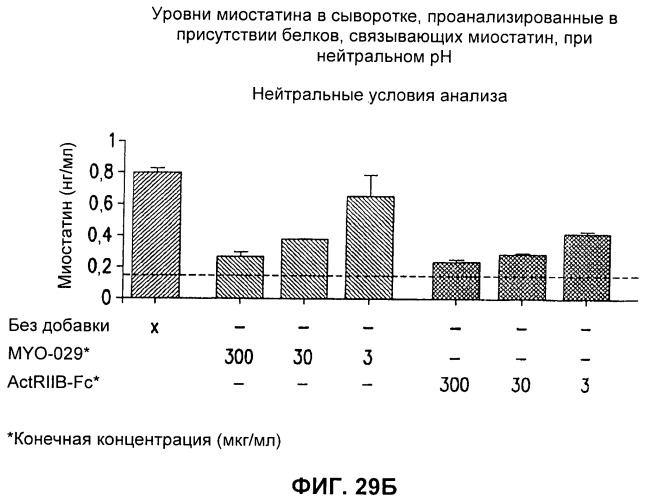 Антитела к gdf8 и их применения (патент 2447084)