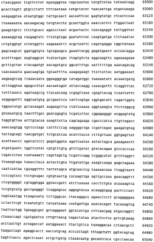 Бактериофаг, обладающий активностью против pseudomonas aeruginosa, белки бактериофага и способы их применения (патент 2580248)