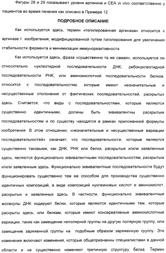 Фармацевтический препарат и способ лечения злокачественных опухолей у человека с помощью аргининовой депривации (патент 2335539)