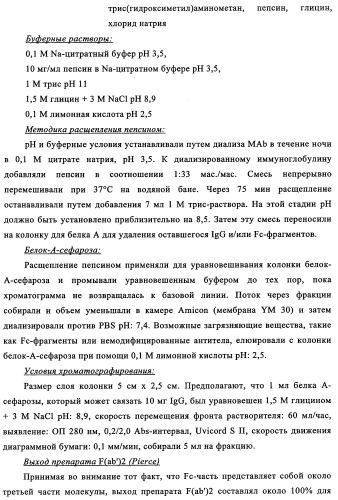 Биспецифические антитела к erb-b и их применение для лечения опухолей (патент 2349340)