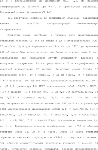 Полимеры изопрена из возобновляемых источников (патент 2505605)