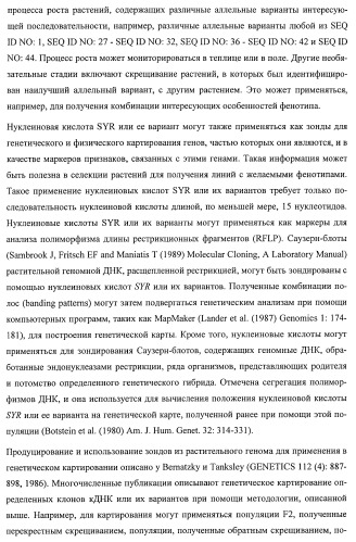 Растения, имеющие улучшенные характеристики роста, и способы их получения (патент 2463352)