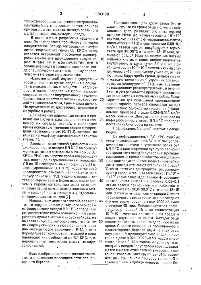 Способ диагностики инфицированности плодов овец вирусом лейкоза крупного рогатого скота (патент 1703120)