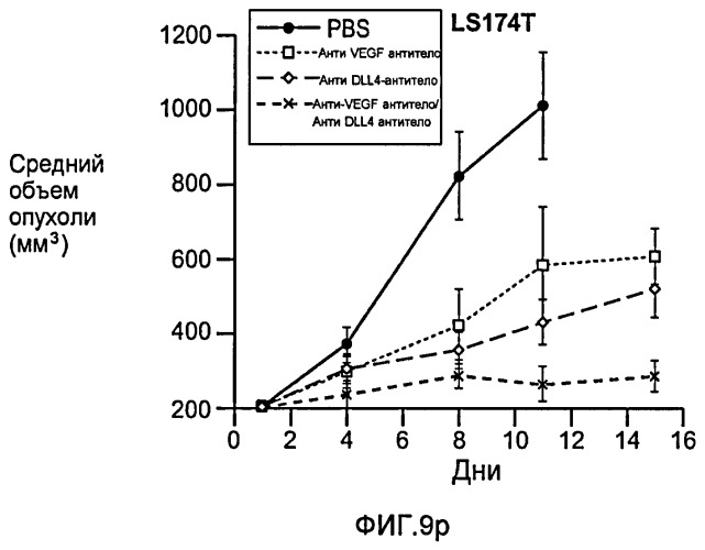 Антитела против dll4 и способы их применения (патент 2415869)