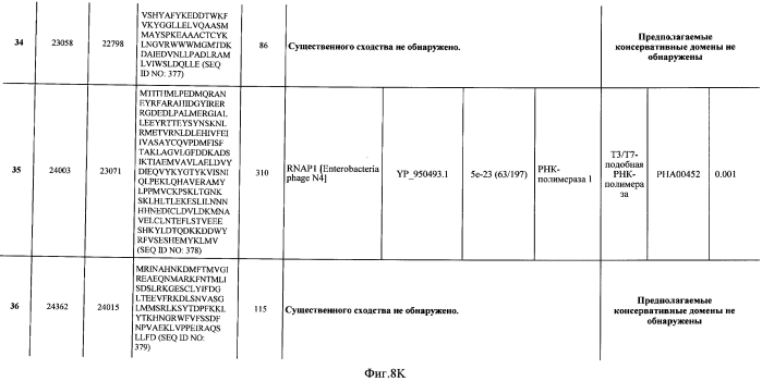 Бактериофаг, обладающий активностью против pseudomonas aeruginosa, белки бактериофага и способы их применения (патент 2580248)